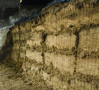 Mycotoxins in grass silage to be investigated by Agrisearch