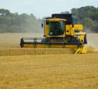 Further declines in European harvest yields predicted