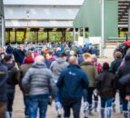 Foyle Farm open day shares interesting tips and advice