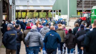 Foyle Farm open day shares interesting tips and advice
