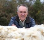 Wool prices set to remain strong following 20% increase