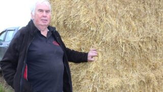 Importer: Straw and hay should be sold on a weight basis