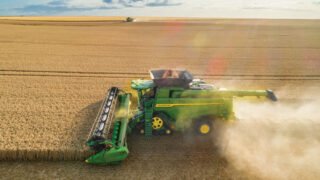 Grain and oilseeds harvest 2024 comes to an end in UK