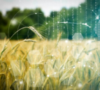 Food stakeholders call for greater agri data collaboration
