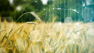 Food stakeholders call for greater agri data collaboration