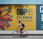 UK to kickstart new global efforts to protect and restore nature at COP16