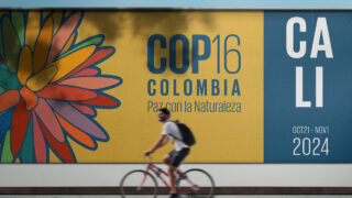 UK to kickstart new global efforts to protect and restore nature at COP16