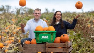 Growing pumpkins for the Halloween market in Armagh