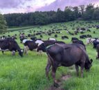 2.5m awarded to university led net zero research into agri sector