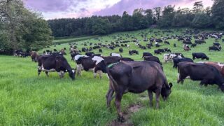 2.5m awarded to university led net zero research into agri sector