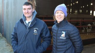 Dairy breeding landscape in NI is fast-changing