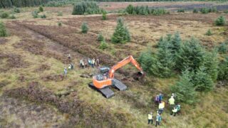 Over 30 people complete NI peatland restoration training