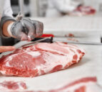 Lower levels of beef and sheep production forecast for UK