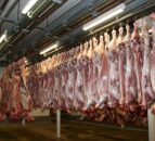 29% of sheep slaughtered without pre-stunning in 2024 - FSA