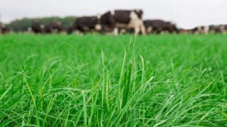 Low Carbon Agriculture Show advocates for ‘Regenuary’