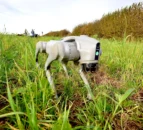 Robot dog deployed in Cornwall soil health trial