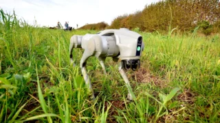 Robot dog deployed in Cornwall soil health trial