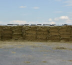 Minimising waste from your silage pit this winter