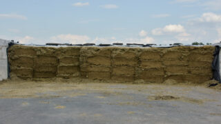 Minimising waste from your silage pit this winter