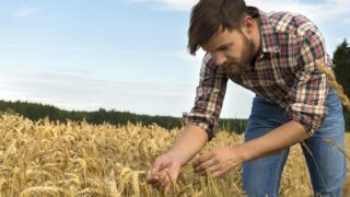 Report on farm-level environmental data sharing published