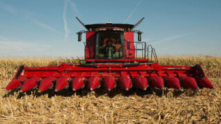 Biofuel win in the US to boost ethanol and crop prices
