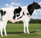 Breeding for improved milk constituents in Northern Ireland