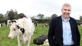 bTB review in Northern Ireland likened to reset button