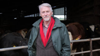 94% of Welsh farmers have received 2024 BPS payments