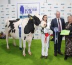Winter Fair 2024: Celebrating pedigree dairy farming in Ireland