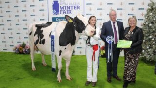Winter Fair 2024: Celebrating pedigree dairy farming in Ireland