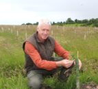 Small Woodland Grant Scheme reopens in Northern Ireland