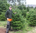 Christmas tree production at the heart of sustainable land management