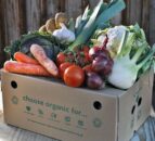 Environmental groups call for more organic farms in England