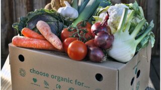 Environmental groups call for more organic farms in England