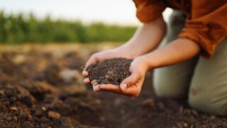 Report: The state of soils in Europe
