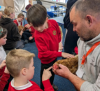 Pet farm renews calls to crowdsource £40,000 to save it