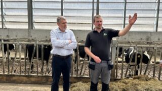 Dairy Throwback: Antrim father and son maximise farm efficiency