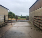Dairy advice: Analysing your farm performance for 2024