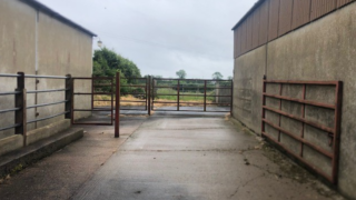 Dairy advice: Analysing your farm performance for 2024