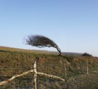 Status Yellow weather warning issued for the north