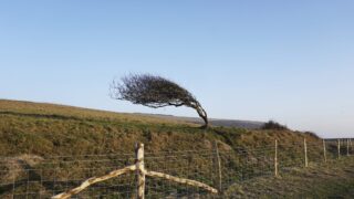 Status Yellow weather warning issued for the north