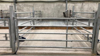 Dairy advice: Getting prepared for the calving season