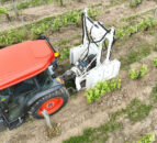 UV light application shows promise in crop protection