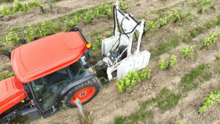 UV light application shows promise in crop protection