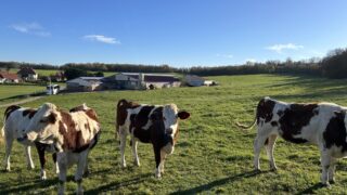 Dairy Focus: High protein % for cheese production on French farm