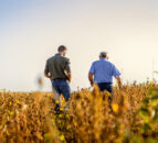Half of NI farms impacted by inheritance tax changes – DAERA