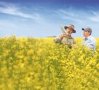 Bayer and Neste to develop feedstocks for renewable fuels