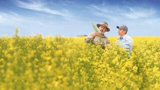 Bayer and Neste to develop feedstocks for renewable fuels