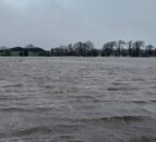 Three sheep die and 57 rescued following flooding in Scotland