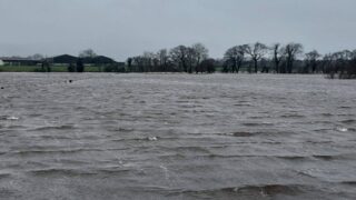 Three sheep die and 57 rescued following flooding in Scotland